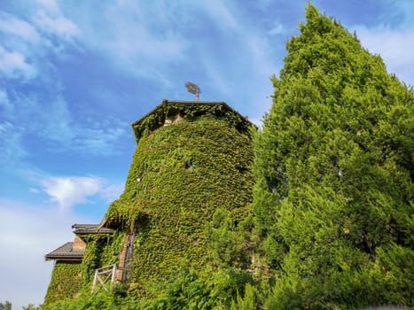 Medieval castle tower, old ancient architecture ivy-covered building. High quality photo