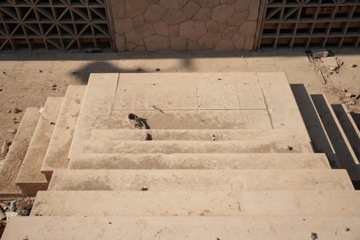 Dirty African street stairs with a lost shoe at the bottom. High quality photo
