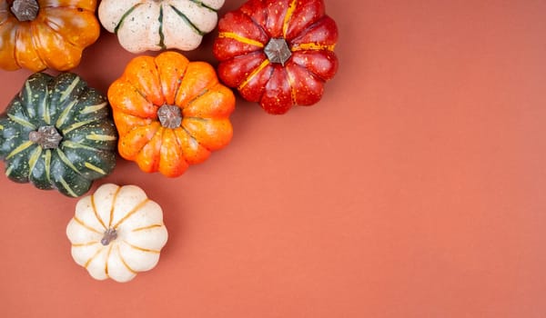 Many pumpkin on red background with copy space on your text or message.