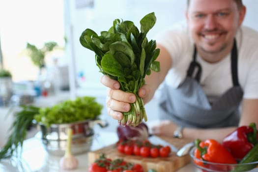 Man cook holds fresh green sorrel salad on kitchen with vegetables. Cooking vegetarian meals for every day concept