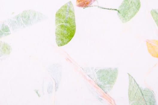 Handmade recycled leaf paper background.