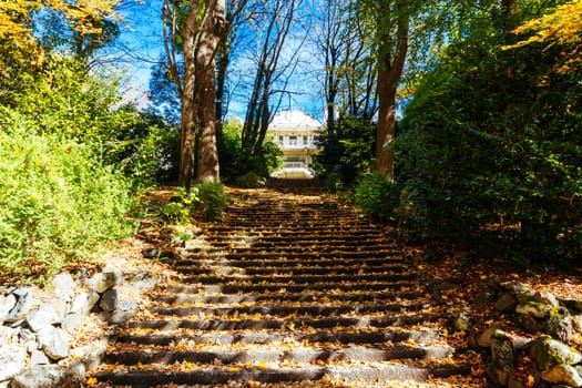 Alfred Nicholas Memorial Gardens on a warm sunny autumn day in the Dandenongs regoion of Sassafras, Victoria, Australia