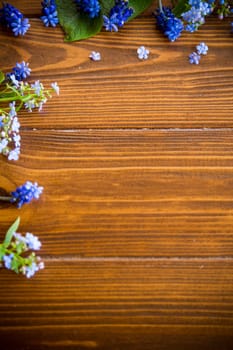 Wooden background with spring flowers and empty space for text.