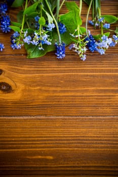 Wooden background with spring flowers and empty space for text.