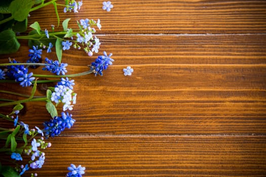 Wooden background with spring flowers and empty space for text.