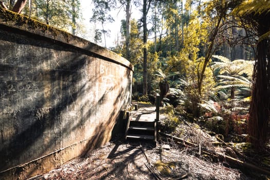 Alfred Nicholas Memorial Gardens on a warm sunny autumn day in the Dandenongs regoion of Sassafras, Victoria, Australia