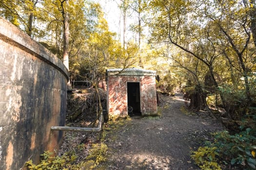 Alfred Nicholas Memorial Gardens on a warm sunny autumn day in the Dandenongs regoion of Sassafras, Victoria, Australia