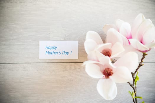 Branch with blooming pink Magnolia flowers on blurred wooden background