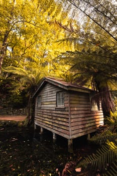 Alfred Nicholas Memorial Gardens on a warm sunny autumn day in the Dandenongs regoion of Sassafras, Victoria, Australia