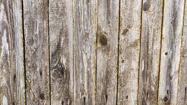 Fence made of wooden slats as Location, Background, texture, copy of space, frame. Abstract natural graphic resource