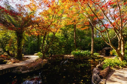 Alfred Nicholas Memorial Gardens on a warm sunny autumn day in the Dandenongs regoion of Sassafras, Victoria, Australia