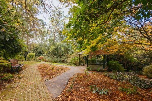 George Tindale Memorial Gardens on a warm sunny autumn day in the Dandenongs region of Kallista in Melbourne, Victoria, Australia