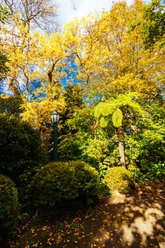 George Tindale Memorial Gardens on a warm sunny autumn day in the Dandenongs region of Kallista in Melbourne, Victoria, Australia