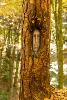 A sad human face in the form of an icon is painted on the trunk of a tree. Defocused bokeh background, all in pastel shades, in a forest full of day light