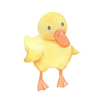 Cute cartoon baby duck. Watercolor illustration isolated on white background. Farm animal