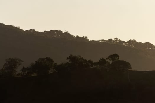 Gradients of sepia tones highlight layers of rolling hills in Bonnie Doon, Victoria, Australia. Sunlight lights up the trees and grass as the sun sets, with black, orange, grey and brown colours
