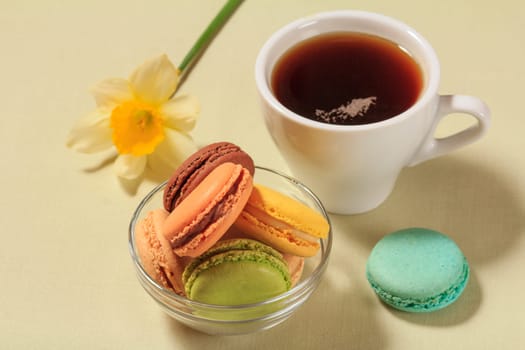 Cup of black coffee and delicious macarons cakes of different color in glass bowl with flower of yellow daffodil on the background. Top view.