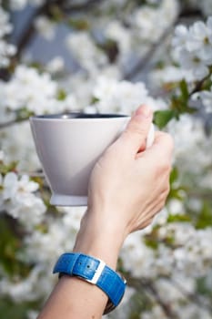 Female hand with wrist watch holds a white porcelain cup with flowering cherry tree on the background. Selective focus on cup.