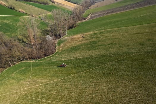 farmer driving uphill crawled tractor in the farm during spring season