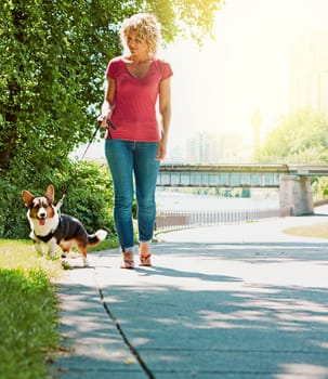Daily walks outside keep her dog happy and healthy. an attractive young woman walking her dog in the park
