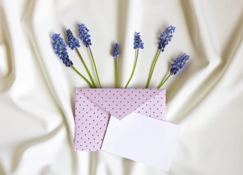 Invitation or greeting card mockup with envelope, muscari flowers. Blank card mockup on white folded background