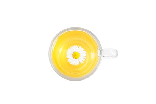 Trasparent cup with camomile tea and fresh flower isolated on white baskground. Top view.