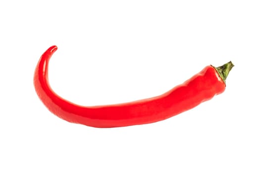 One Red hot chili pepper isolated on white background.