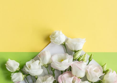 Composition with envelope and beautiful spring flowers on white background