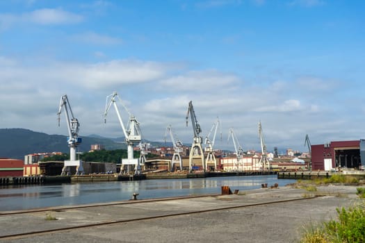 portal cranes. portal cranes in the port. cargo loading area