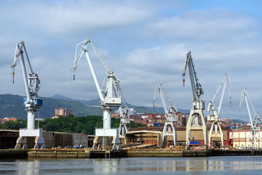 portal cranes. portal cranes in the port. cargo loading area