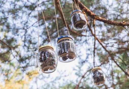 Cones in glass jars. Homemade decorations in the garden.