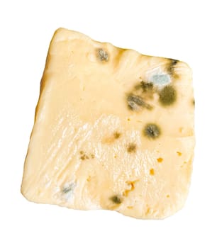 moldy piece of cheese on a white background.