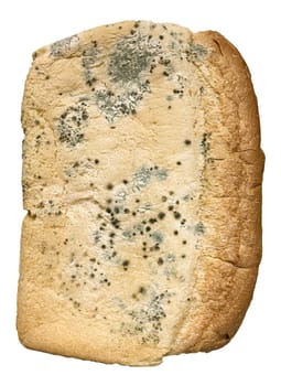 moldy loaf of white bread on a white background.