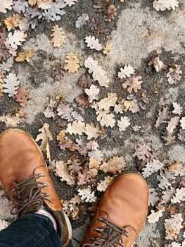 Men feet in boots stand on the pavement among fallen oak leaves. Top view. Cropped. High quality photo