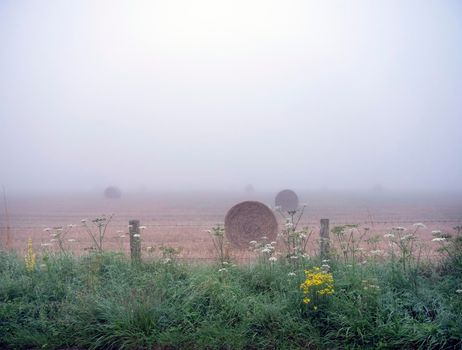 summer flowers and straw bales in foggy morning field near rouen in french normandy