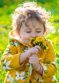 A child in the garden sniffs blooming dandelions in spring. Selective focus. Nature.