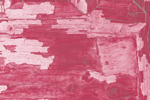 Creative wooden background. Old shabby cracked from time wood surface. Trendy toning in color 2023 Viva Magenta.