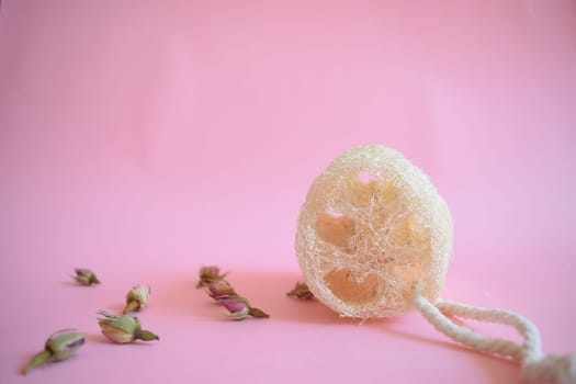 Natural Luffa Sponge. Body scrap with natural sponge on a pink background.