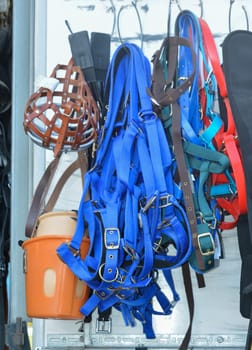 Horse riding equipment for sale. halter equipment