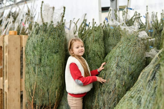 A girl buying a Christmas tree in the market.