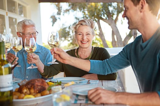 Anything that brings family together deserves to be celebrated. a happy family toasting with wine during a family lunch outdoors