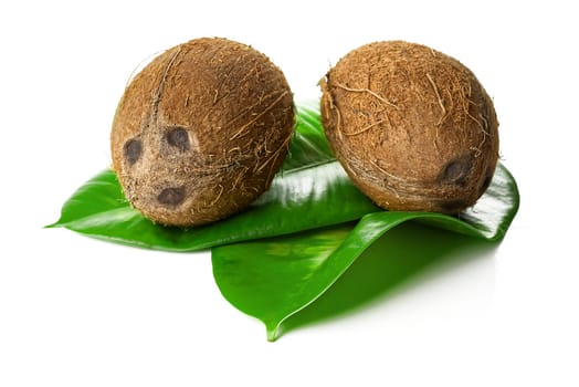 Coconuts with leaves, isolated on white background.