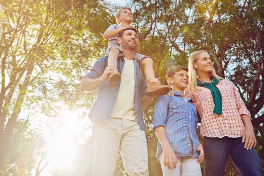 Taking a family walk in the forest. a family of four walking in the woods