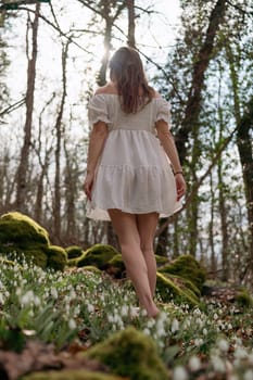 Snowdrops galanthus woman. She stands in a white dress on a meadow with snowdrops in a spring forest.