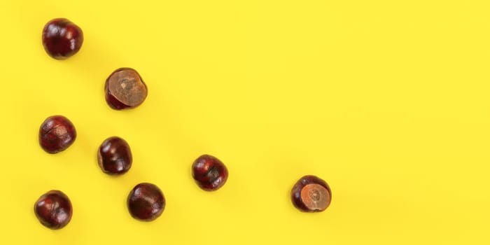 Table top view - horse chestnuts scattered on yellow board. Abstract autumn background with space for text on right.