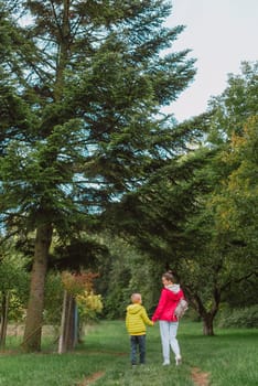 Beautiful family -Mom with small son on a walk in autumn sunny nature. Happy couple holding hands. Back view. Young mother with her little baby boy having fun in the autumn park