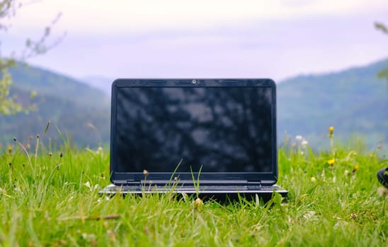 Laptop on grass. Laptop on green grass in park. Working outdoor. Blank screen. Laptop in nature background. Ecology travel and work outside office concept. download image