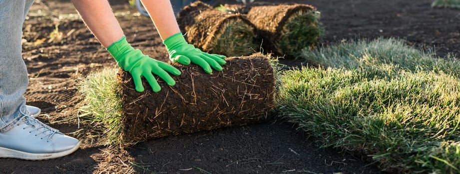 Close up woman laying sod for new garden lawn - turf laying