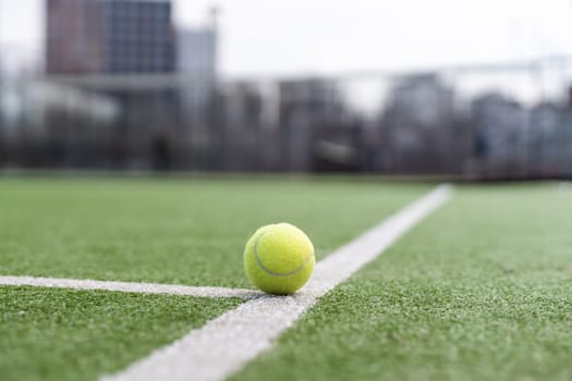 tennis ball on tennis grass court.