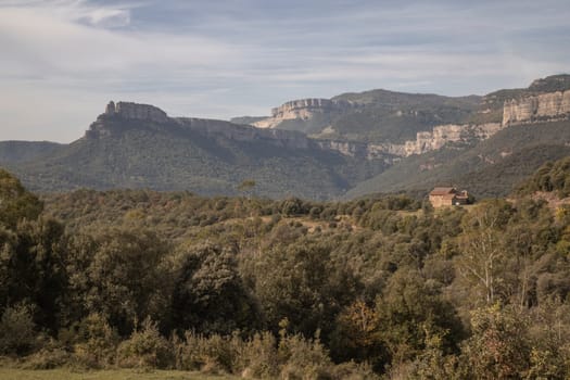 scenic landscape showing mountains and forest